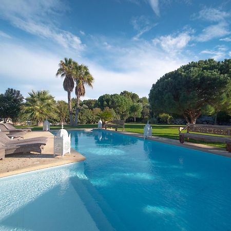 Bed and Breakfast Escapades Lointaines Perpignan Zewnętrze zdjęcie