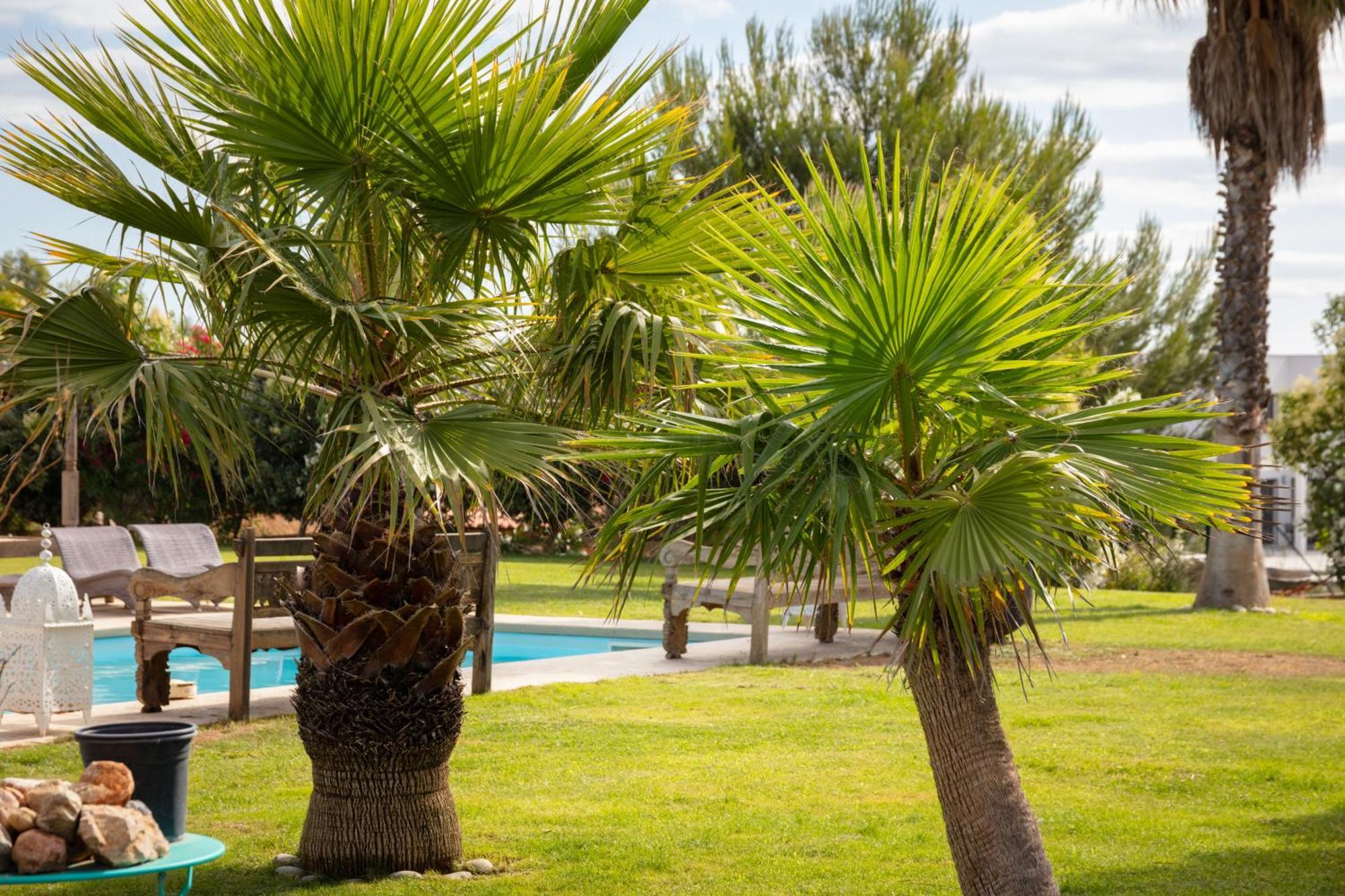 Bed and Breakfast Escapades Lointaines Perpignan Zewnętrze zdjęcie